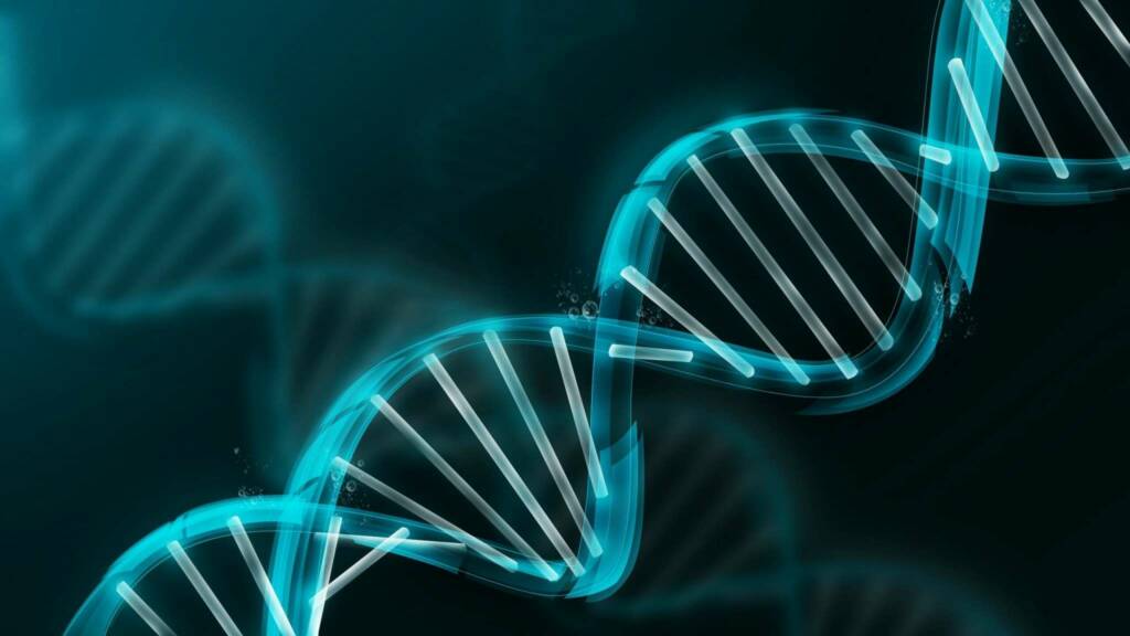¿Es legal la manipulación del ADN?