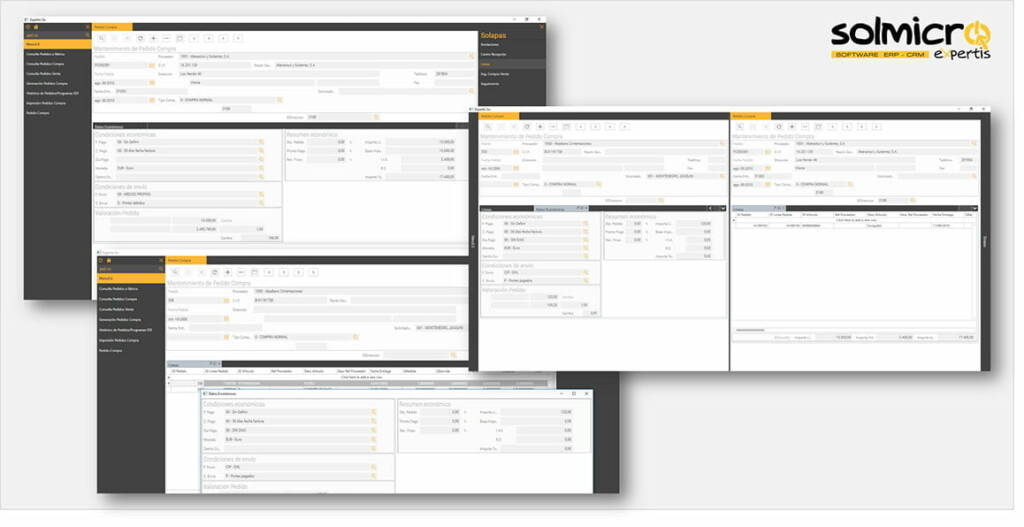 Análisis ERP Solmicro-eXpertis 6 2018