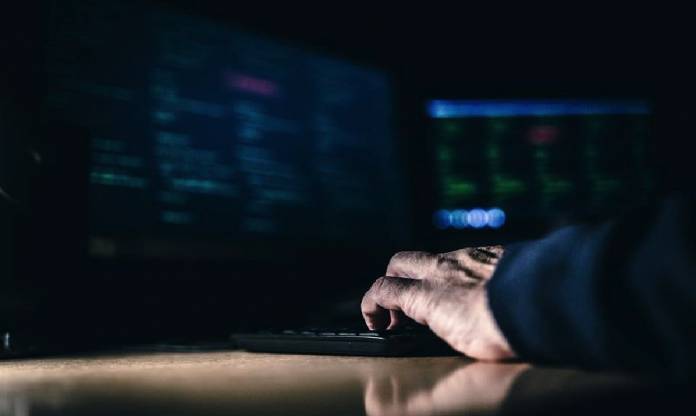 crisis informática seguridad ciberdelitos perfiles digitales trabajo