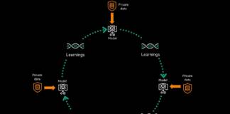 HPE IA swarm learning process