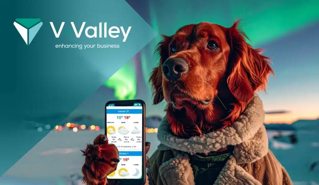 Formación en IA V-Valley