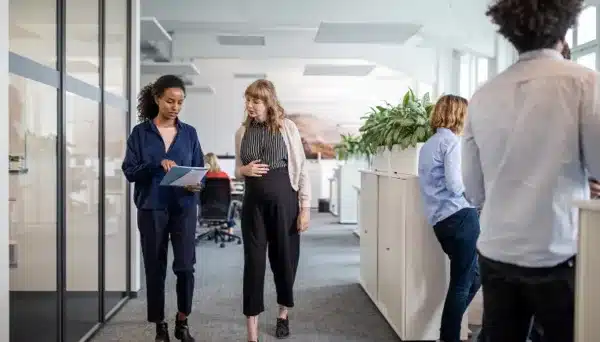 SAP Empresa Autónoma